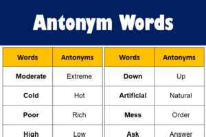 antonyms of body